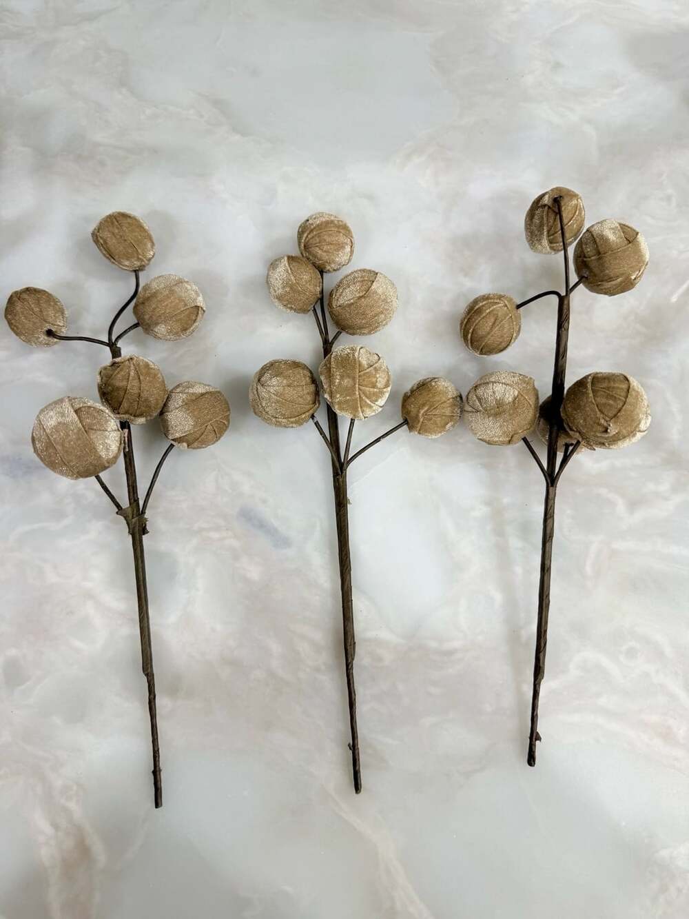 Velvet Pumpkin Pod Twig Stems